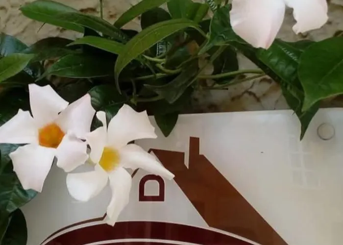 La Casa Di Thomas In Centro Appartamento